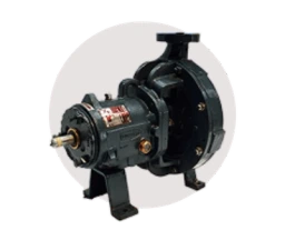 Bomba Centrífuga Tipo ANSI